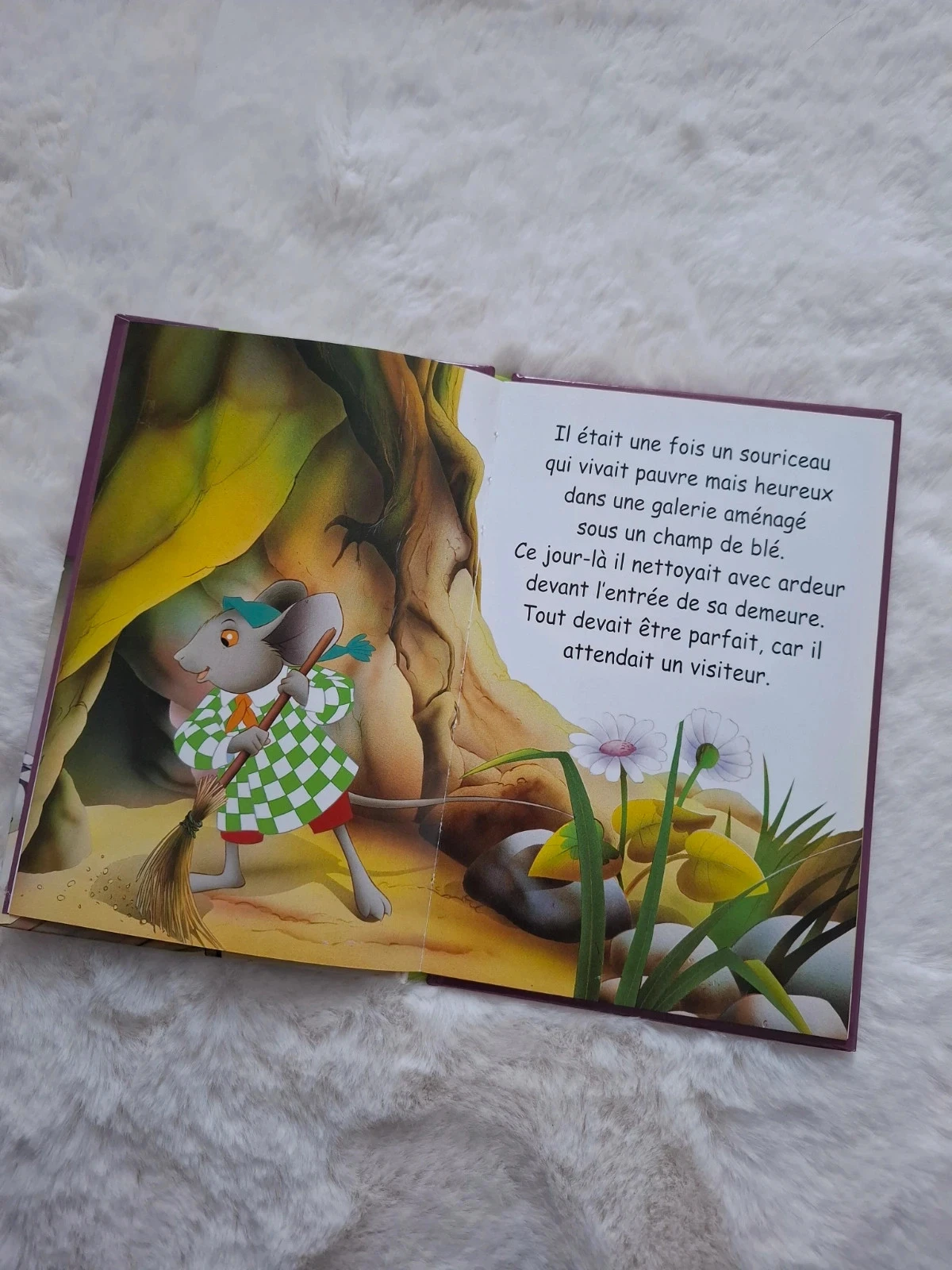 📚 book first reading rats of the city and rats of the country level 3 Van gool – photo 9